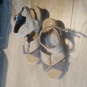 COPY - El Naturalista new